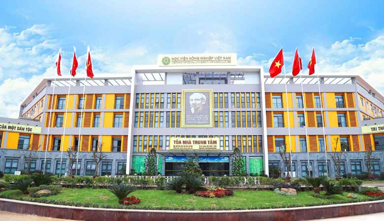 Tải Logo VNUA Vector, PNG Chất Lượng Cao Miễn Phí Cho Thiết Kế
