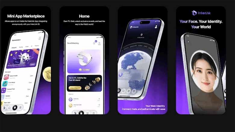 Interlink Network lừa đảo hay uy tín? Phân tích ưu nhược điểm mới nhất 